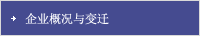 企业概况与变迁